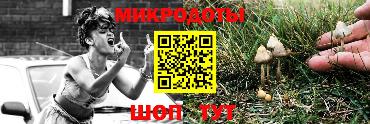 Краснокамск  Псилоцибиновые грибы Psilocybine cubensis  Вход с VPN 